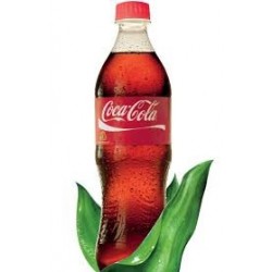 Coca Cola 600 ml