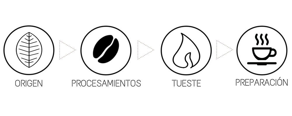 Café de Especialidad